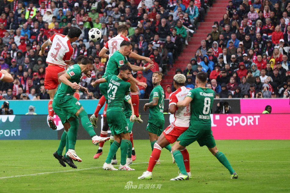 组合不仅提 组合不仅提